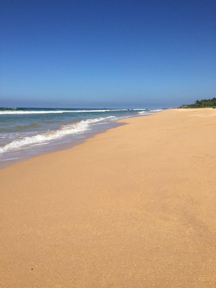 Sanda Eliya Resort Bentota Eksteriør bilde