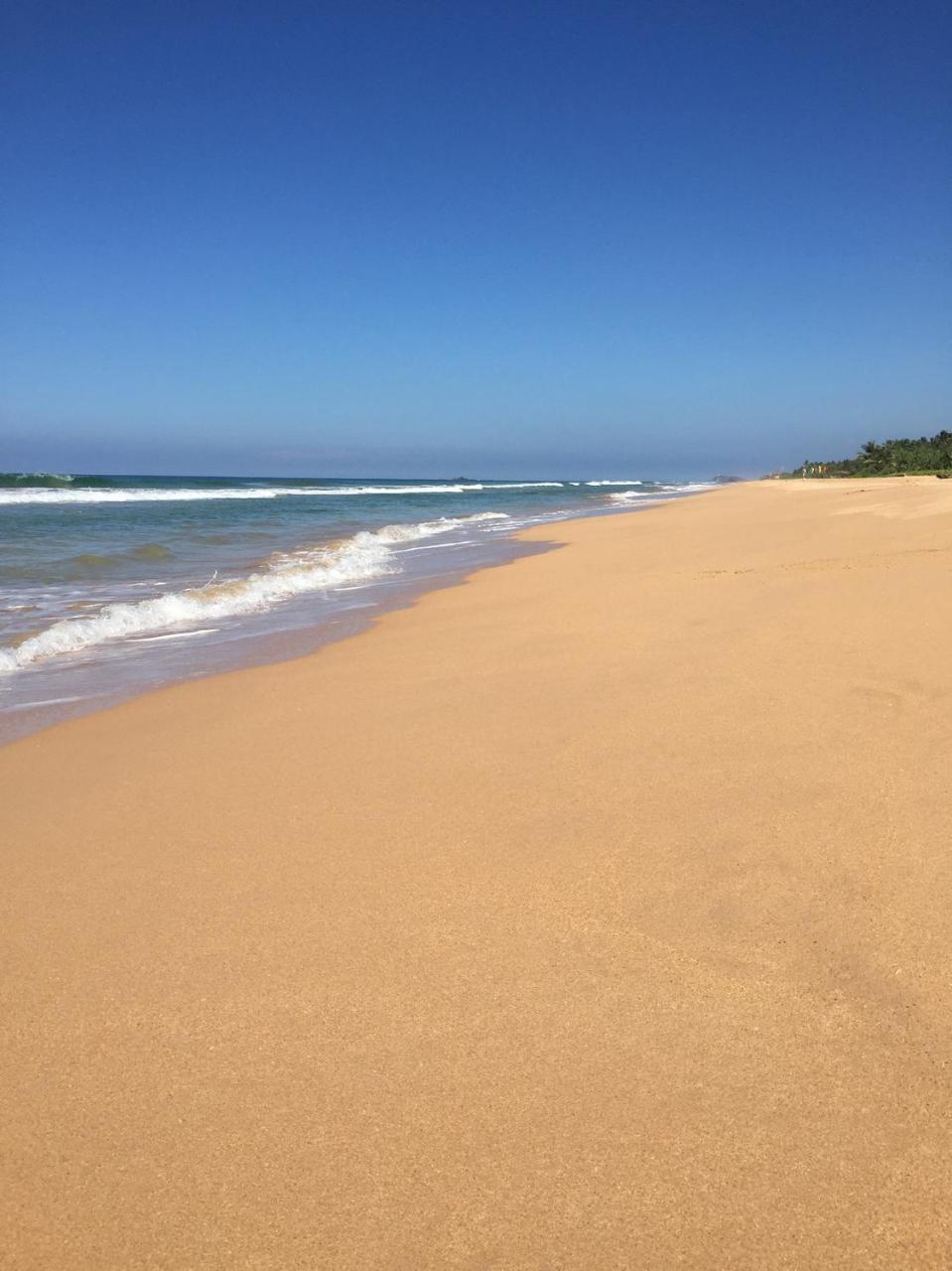 Sanda Eliya Resort Bentota Eksteriør bilde