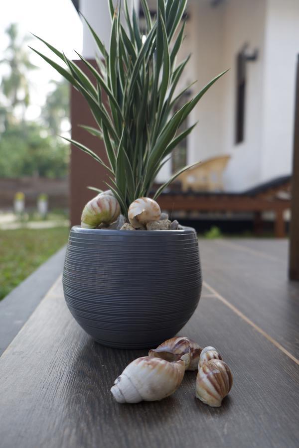 Sanda Eliya Resort Bentota Eksteriør bilde