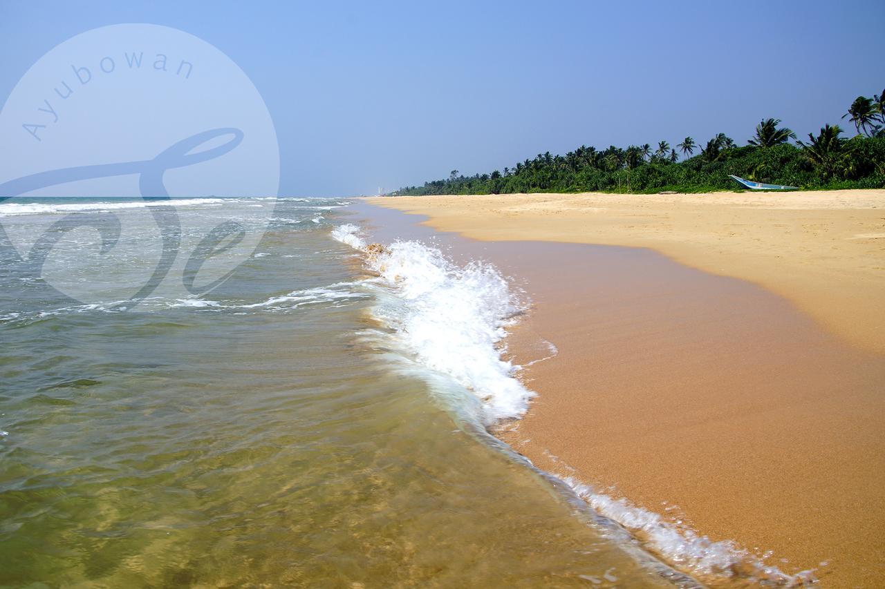 Sanda Eliya Resort Bentota Eksteriør bilde